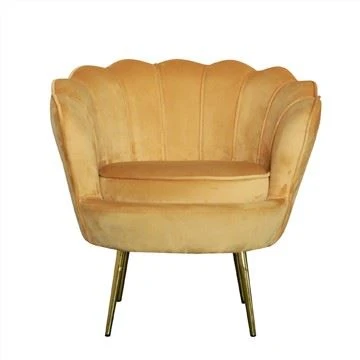 Fauteuil met fluwelen accentstoel