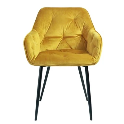 Fluweel stof eetkamerstoel fauteuil woonkamer