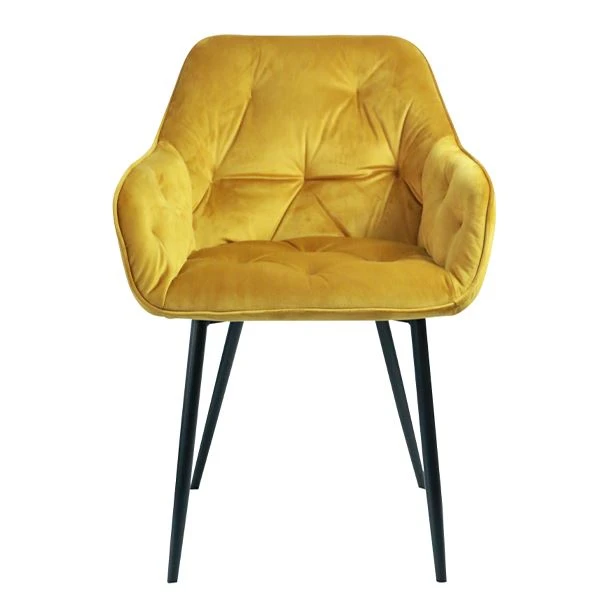 Fluweel stof eetkamerstoel fauteuil woonkamer